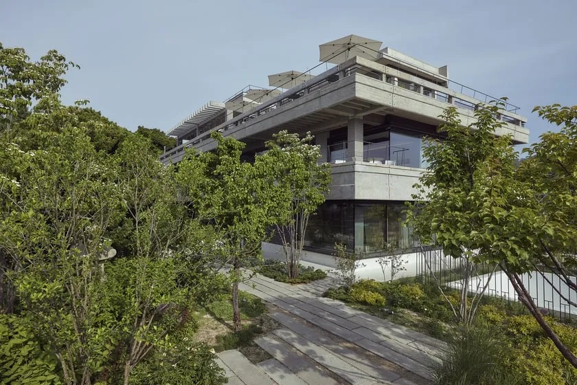 오설록 티하우스 사진